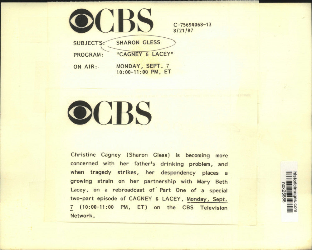 1987 Press Photo Actress Sharon Gless in "Cagney & Lacey" - nox25686