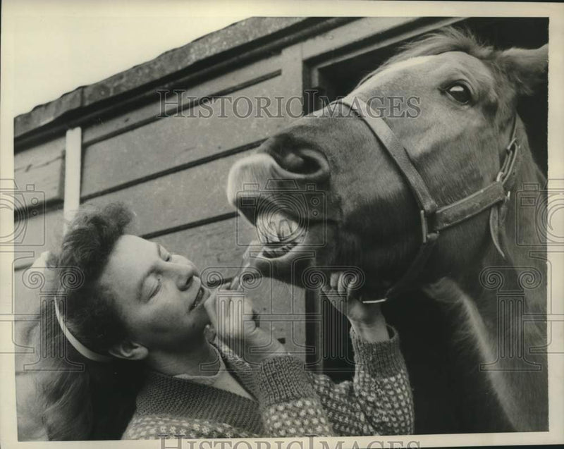 Load image into Gallery viewer, 1959 Press Photo Zoo Attendant June Thompson Brushes Horse's Teeth, England
