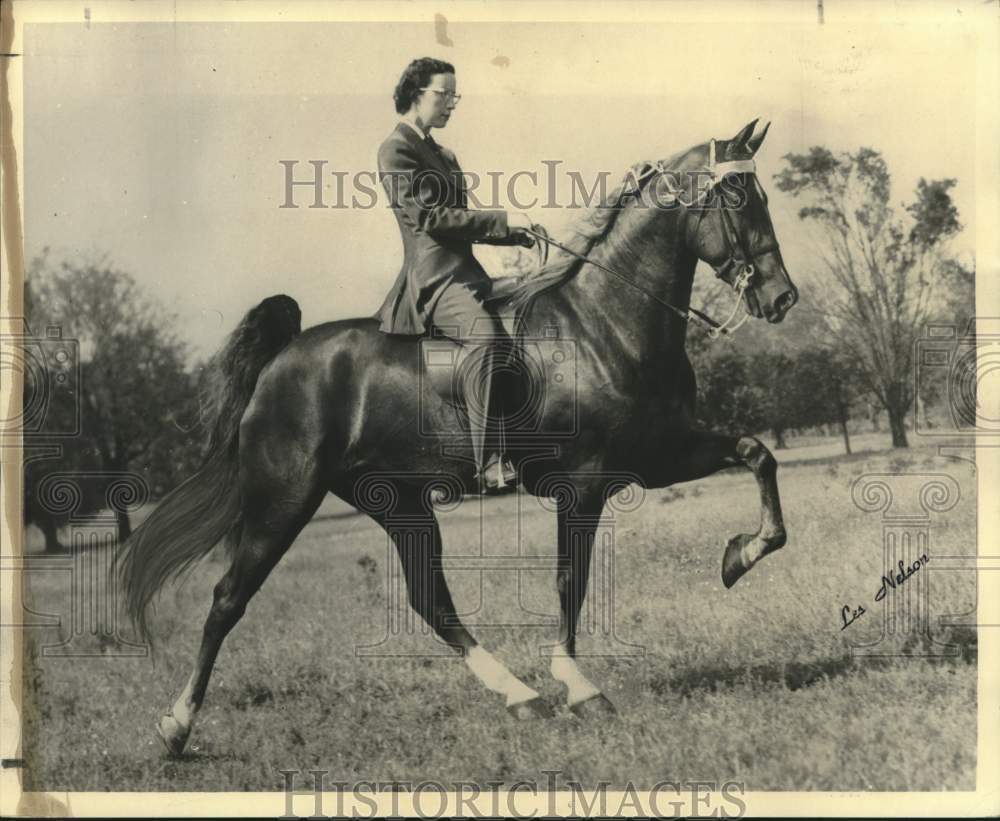 1956 Press Photo Marjorie Gill Rides Show Horse Pride&#39;s Lady Lin - nox27256