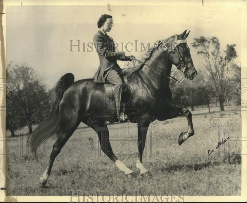 Load image into Gallery viewer, 1956 Press Photo Marjorie Gill Rides Show Horse Pride's Lady Lin - nox27256
