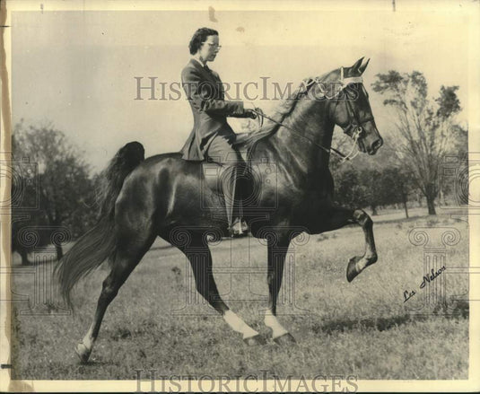 1956 Press Photo Marjorie Gill Rides Show Horse Pride's Lady Lin - nox27256