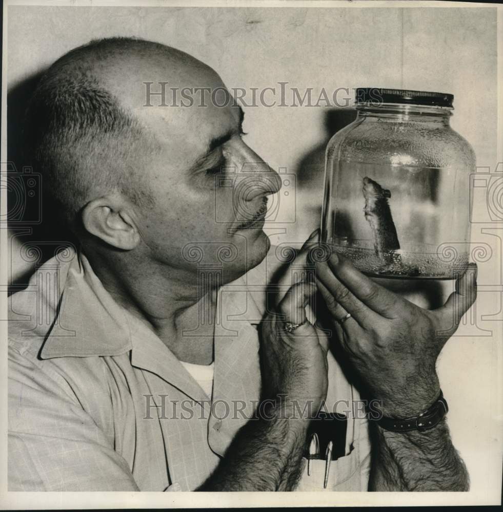 1950 Press Photo Willard Lee Davis with Mouse in Jar - nox29931