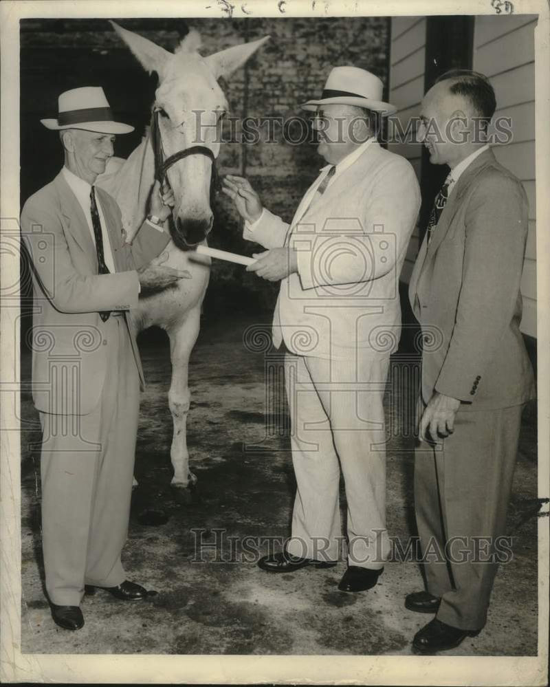 Load image into Gallery viewer, 1949 Press Photo Sanitation comm. John Holderith receives a certificate of merit
