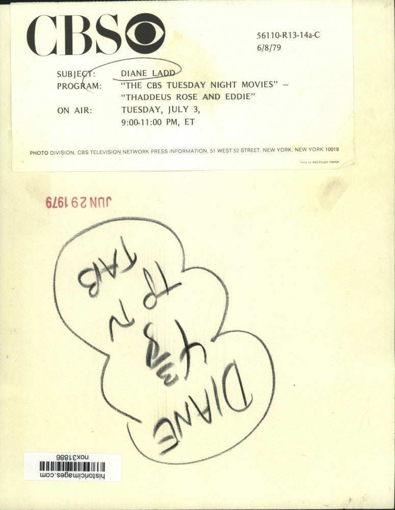 1979 Press Photo Actress Diane Ladd of "Thaddeus Rose and Eddie" - nox31886