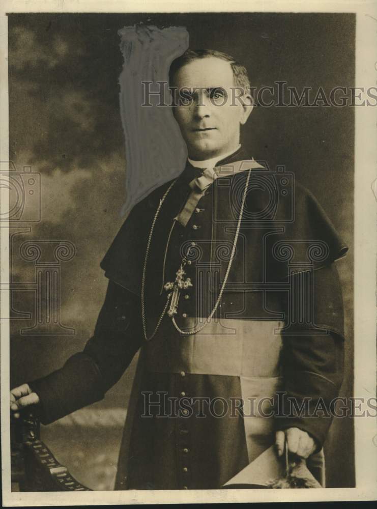 1929 Press Photo Cardinal MacRory - nox32452