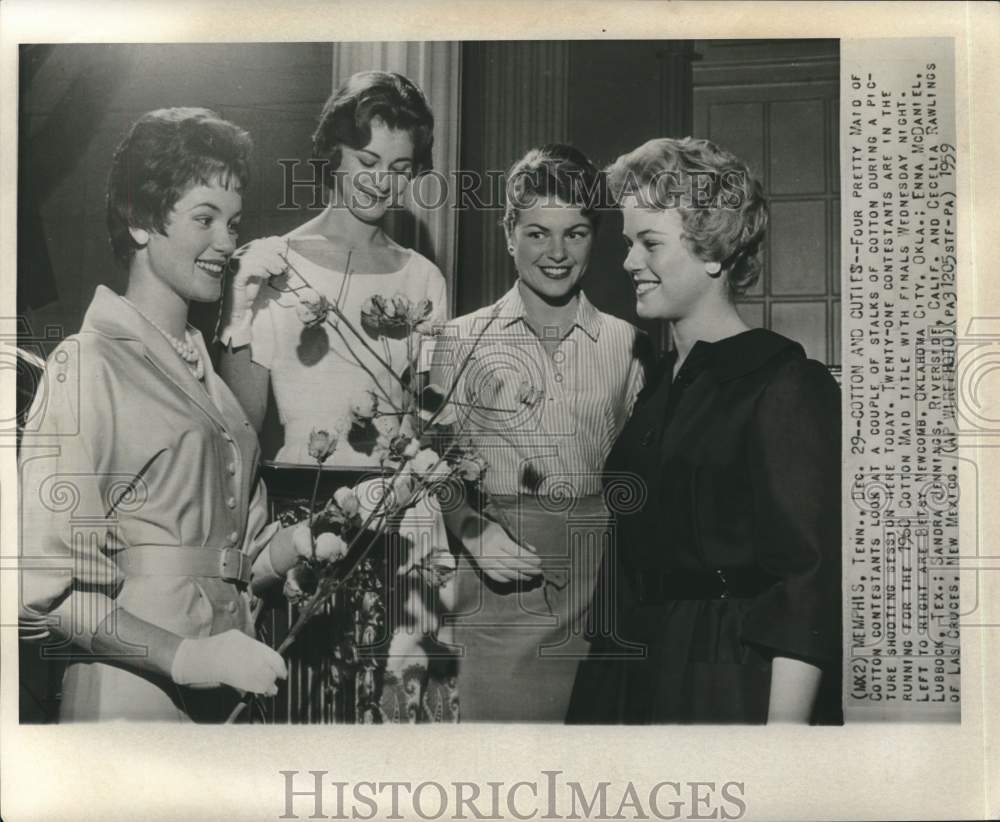 1959 Press Photo Cotton Maid Contestants with Stalks of Cotton at Photo Shoot