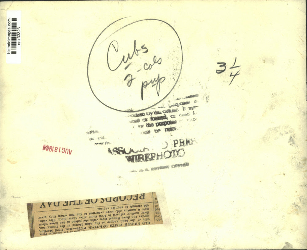 1944 Press Photo Mrs. Fred Martini with One-Time Pets at Bronx Zoo - nox33323