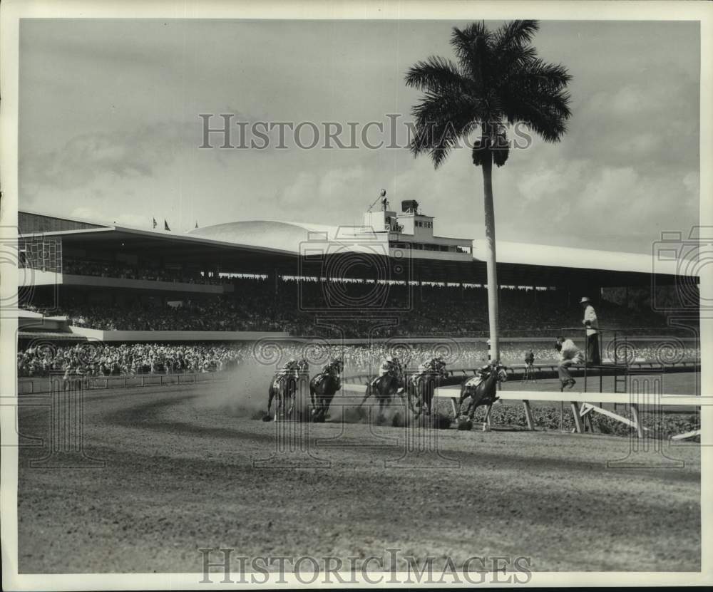1961 Press Photo Thoroughbred Horse Race at Miami&#39;s Gulfstream Track - nox33604