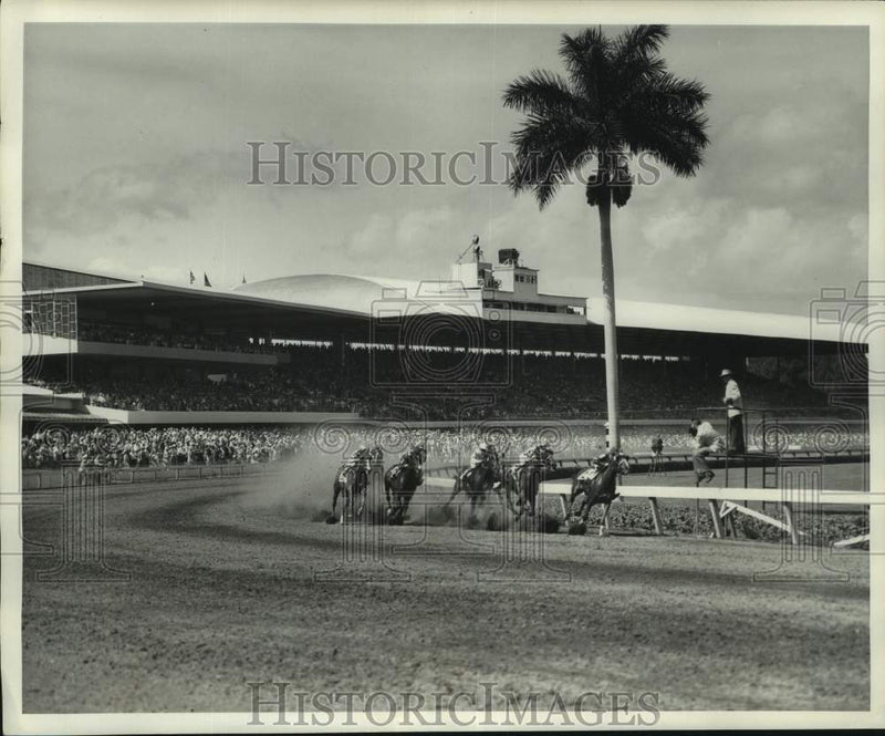 Load image into Gallery viewer, 1961 Press Photo Thoroughbred Horse Race at Miami's Gulfstream Track - nox33604
