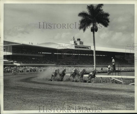 1961 Press Photo Thoroughbred Horse Race at Miami's Gulfstream Track - nox33604