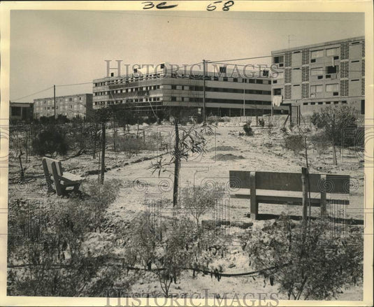1970 Press Photo A small park & new apartments in the new town of Arad, Israel