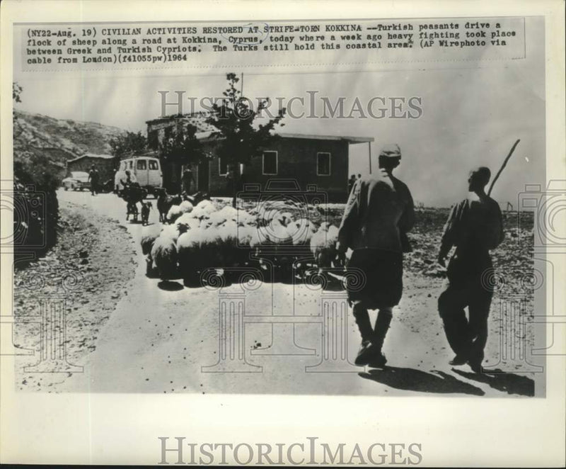 Load image into Gallery viewer, 1964 Press Photo Turkish peasants drive sheep along a road in Kokkina, Cyprus.
