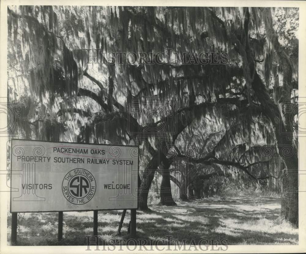 1950 Press Photo Southern Railway System sign names the oaks &quot;Pakenham&quot; oaks.