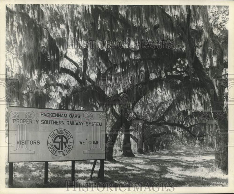 Load image into Gallery viewer, 1950 Press Photo Southern Railway System sign names the oaks "Pakenham" oaks.
