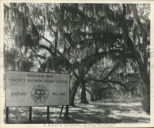 1950 Press Photo Southern Railway System sign names the oaks "Pakenham" oaks.