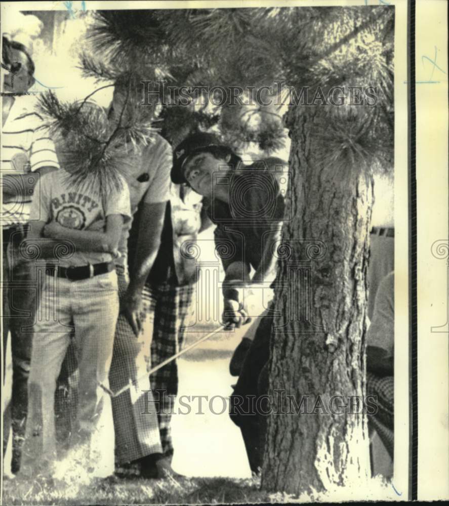 1974 Press Photo Golfer hits from behind pine tree at Hartford Open tournament- Historic Images