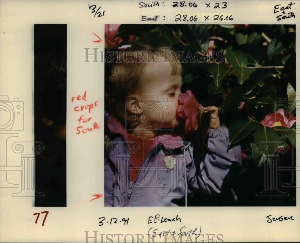 1991 Press Photo Morgan Godvin, 18 months, checks a camellia for scent.- Historic Images