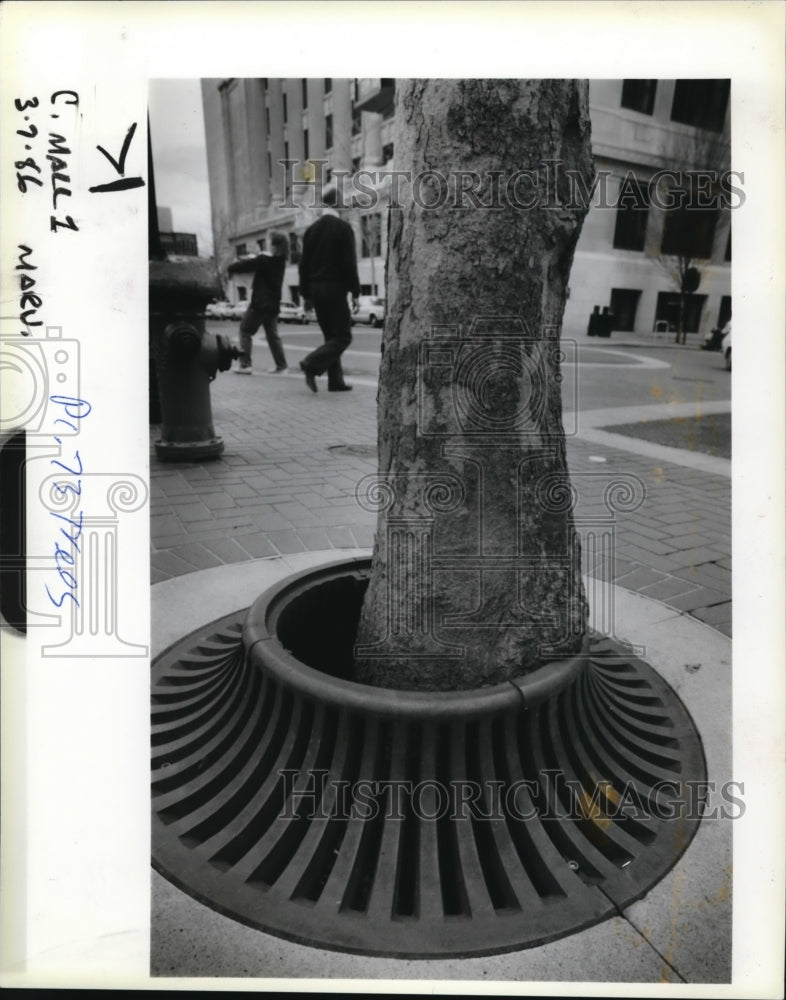 1986 Press Photo Transit Mall, Tree, Grates - orb55519- Historic Images