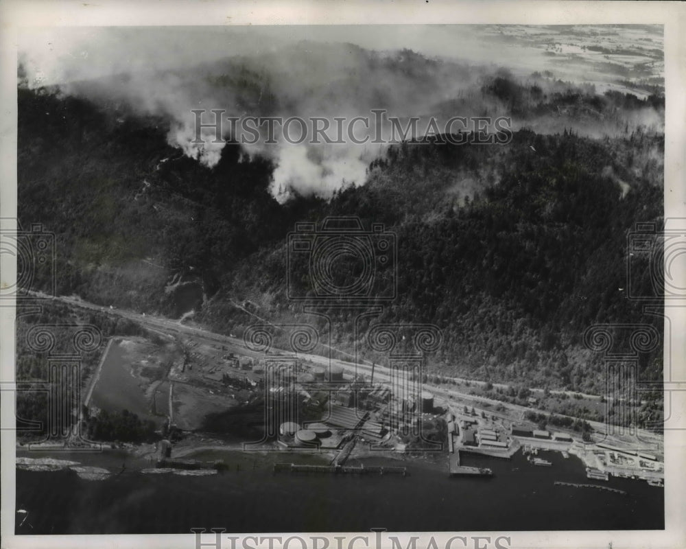 1951 Press Photo High above burning area as seen form above Willametter River- Historic Images