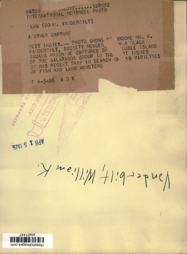 1926 Press Photo William Vanderbilt shows a black iguana from the West Indies