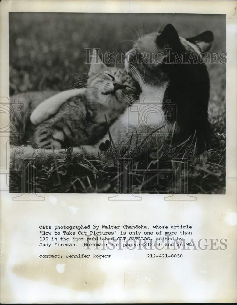 1976 Press Photo Cat hugging a kitten on the grass in &quot;Cat Catalog&quot; book- Historic Images