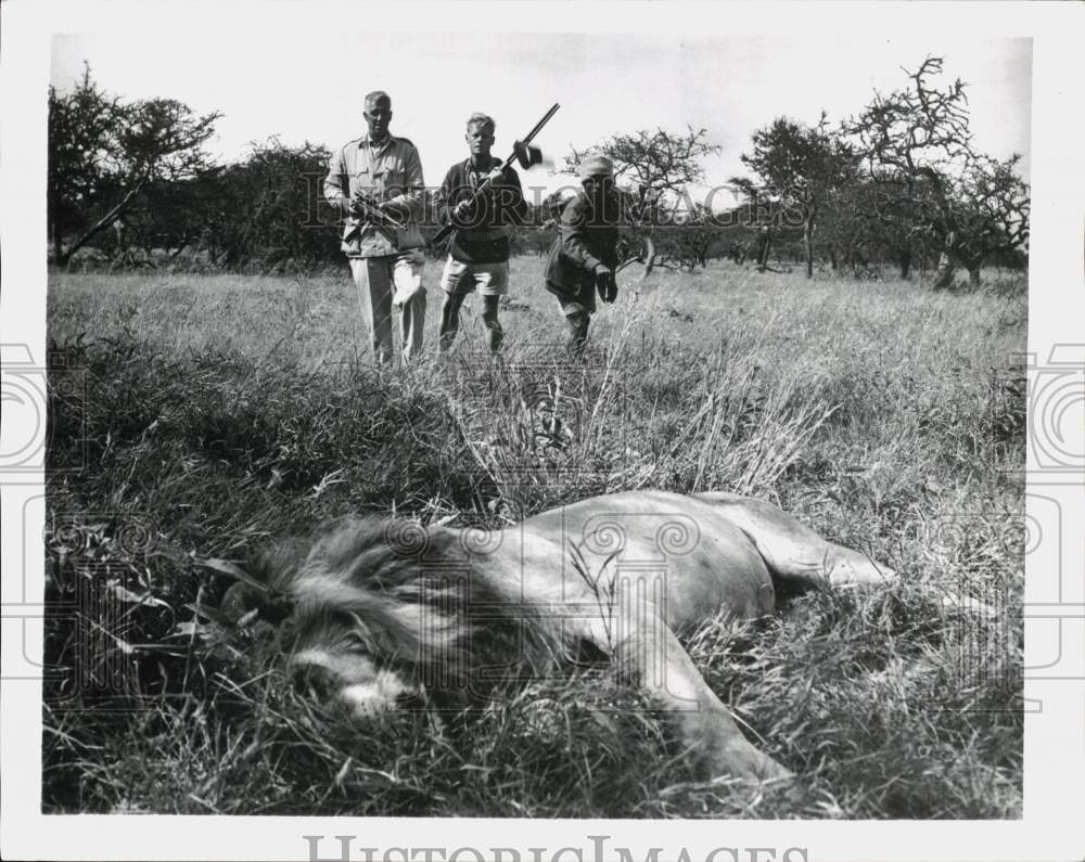 1964 Press Photo Hunters stand by dead lion they shot during safari trip- Historic Images