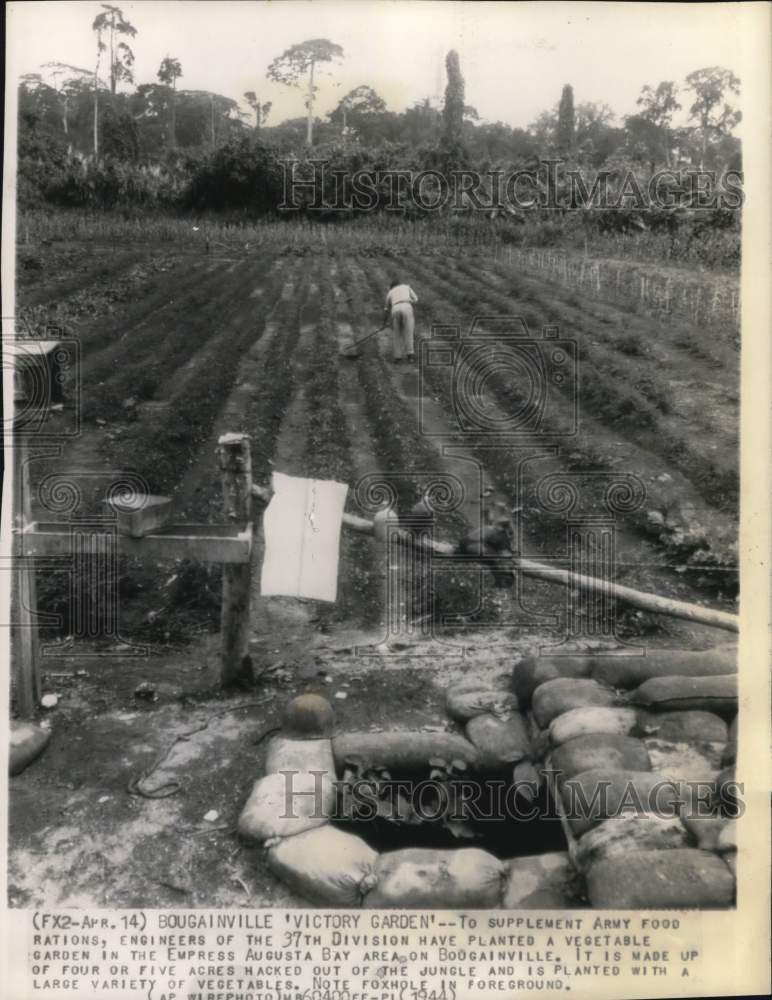 1944 Press Photo US soldiers tend vegetable garden on Bougainville in WWII