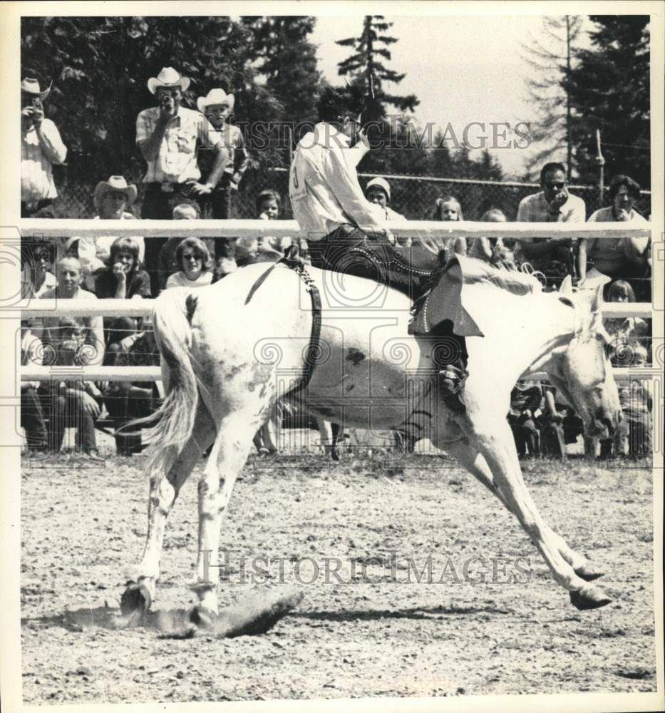 Press Photo Rodeo cowboy riding bronc bareback during event - pio14491- Historic Images