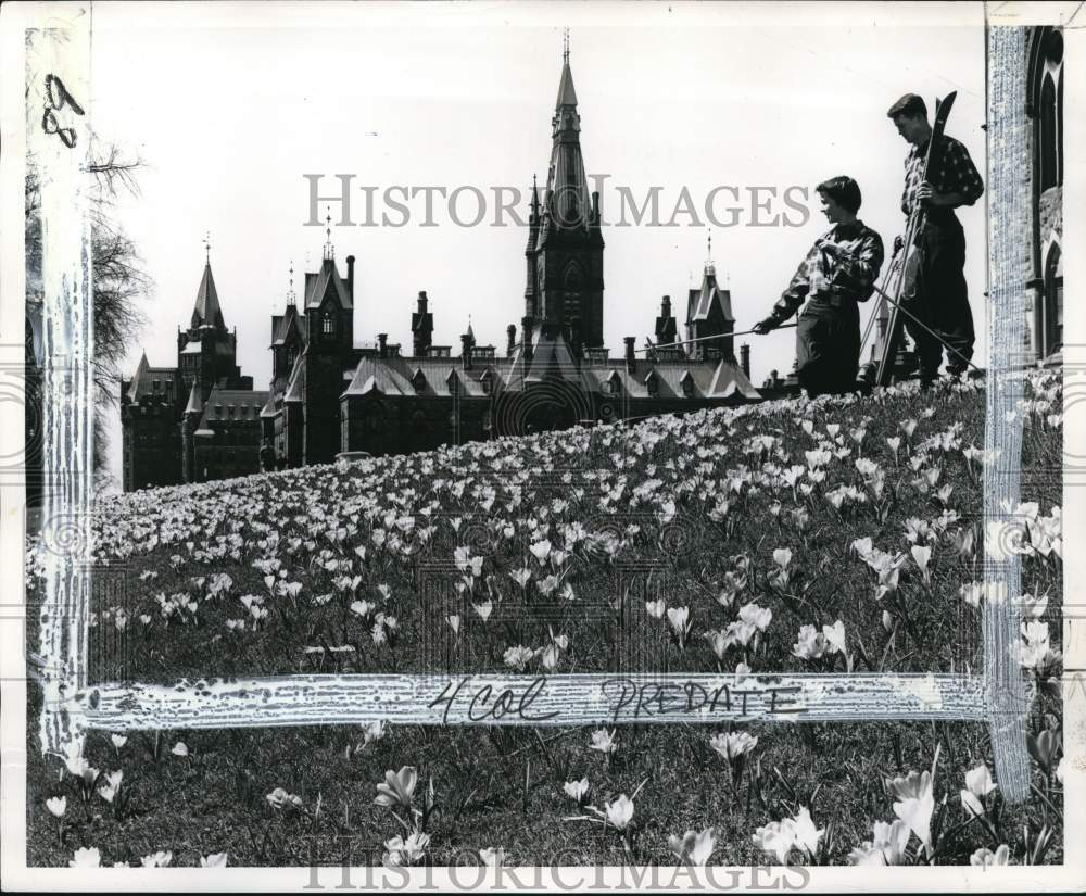 1963 Press Photo Couple standing in field near Parliament, Ottawa, Canada- Historic Images