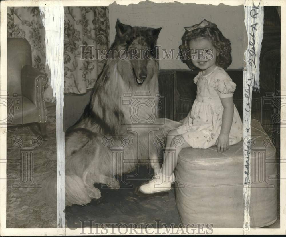 1946 Press Photo Blue Merle Collie dog &amp; girl at home - pio25070