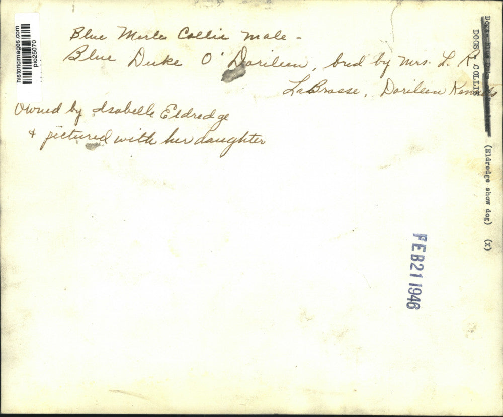 1946 Press Photo Blue Merle Collie dog & girl at home - pio25070