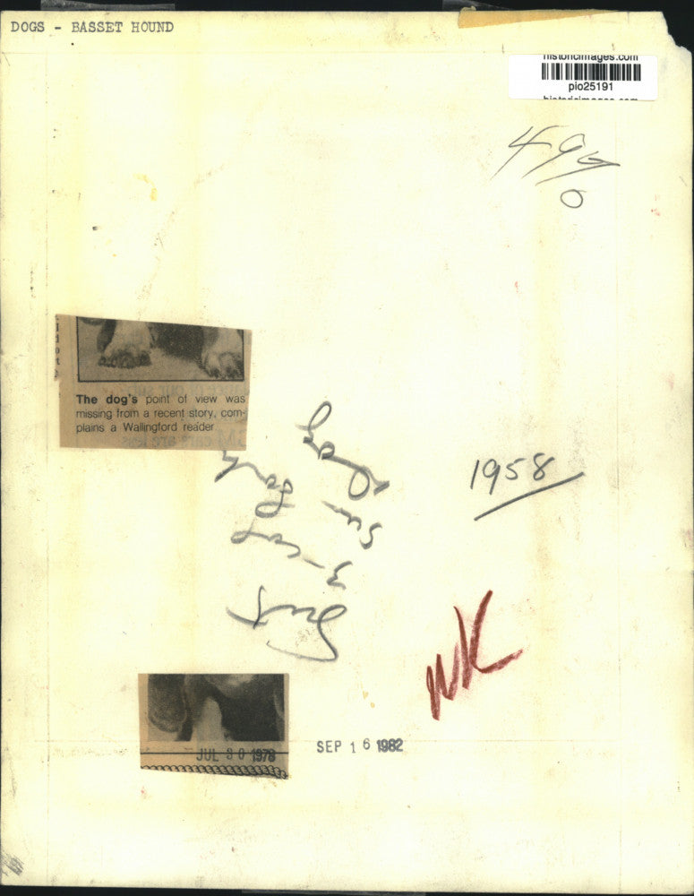 1978 Press Photo Basset hound dog in Vancouver, Canada - pio25191