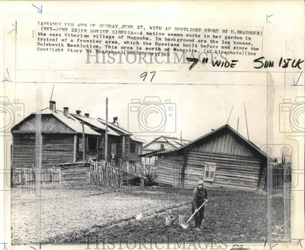 1965 Press Photo Native woman tending to her garden in Mogocha, Siberia