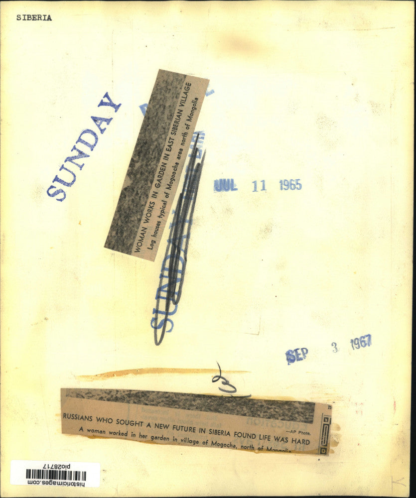 1965 Press Photo Native woman tending to her garden in Mogocha, Siberia