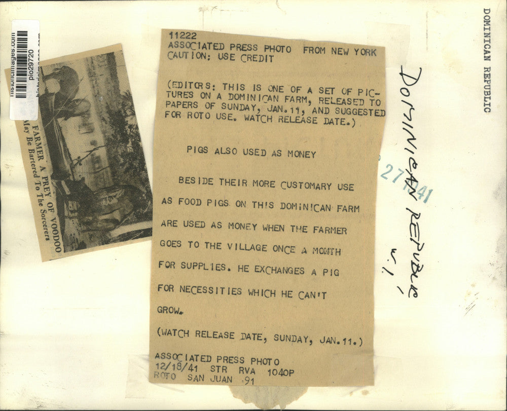 1941 Press Photo Farmer & pigs at a farm in the Dominican Republic - pio29720