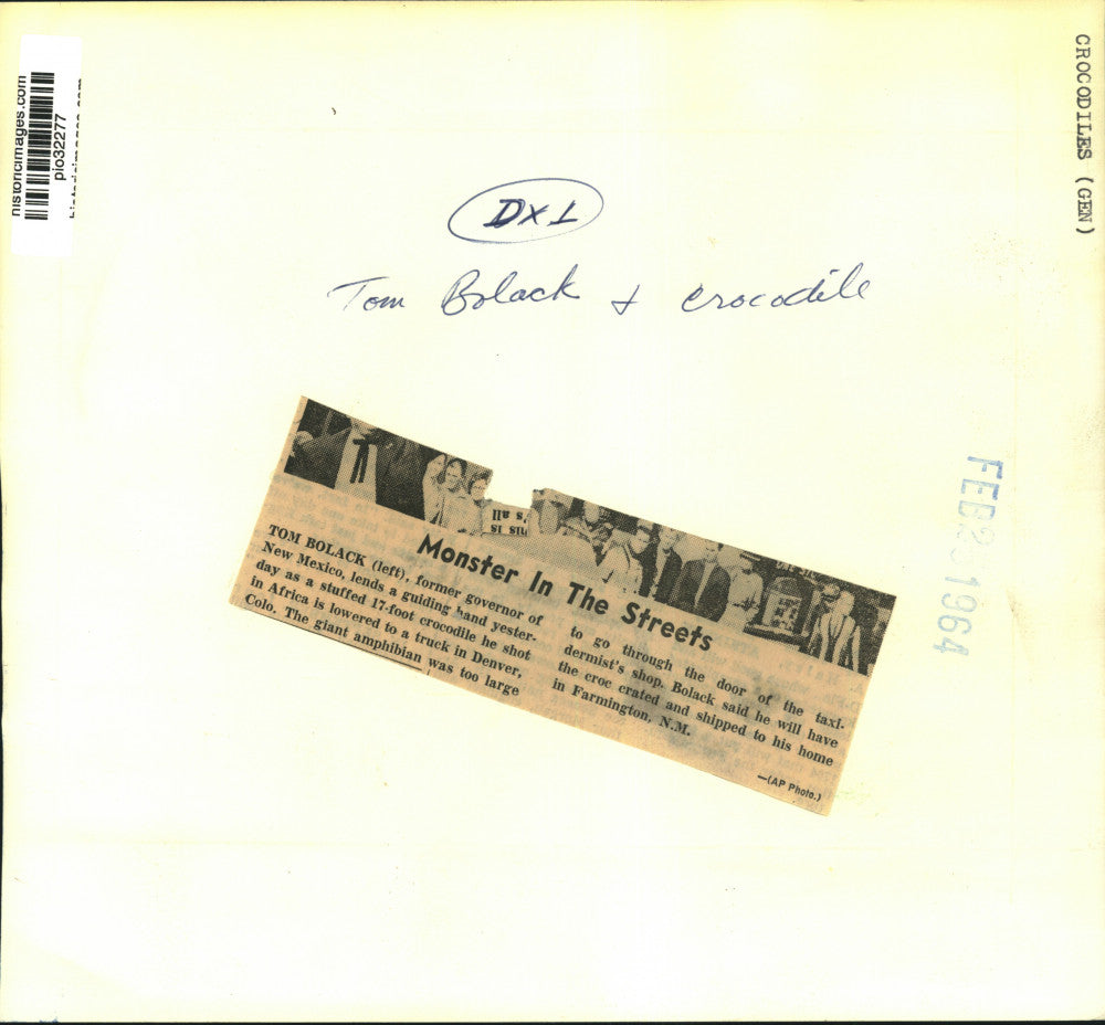 1964 Press Photo Ex-Governor Tom Bolack & stuffed 17-foot crocodile in Colorado