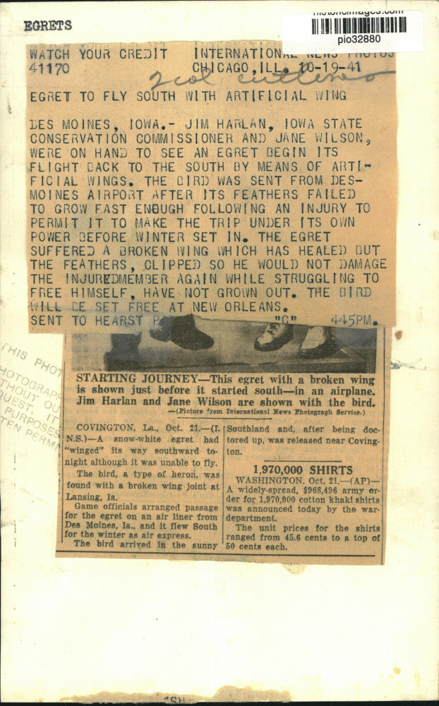 1941 Press Photo Jim Harlan & Jane Wilson with injured egret in Des Moines, Iowa