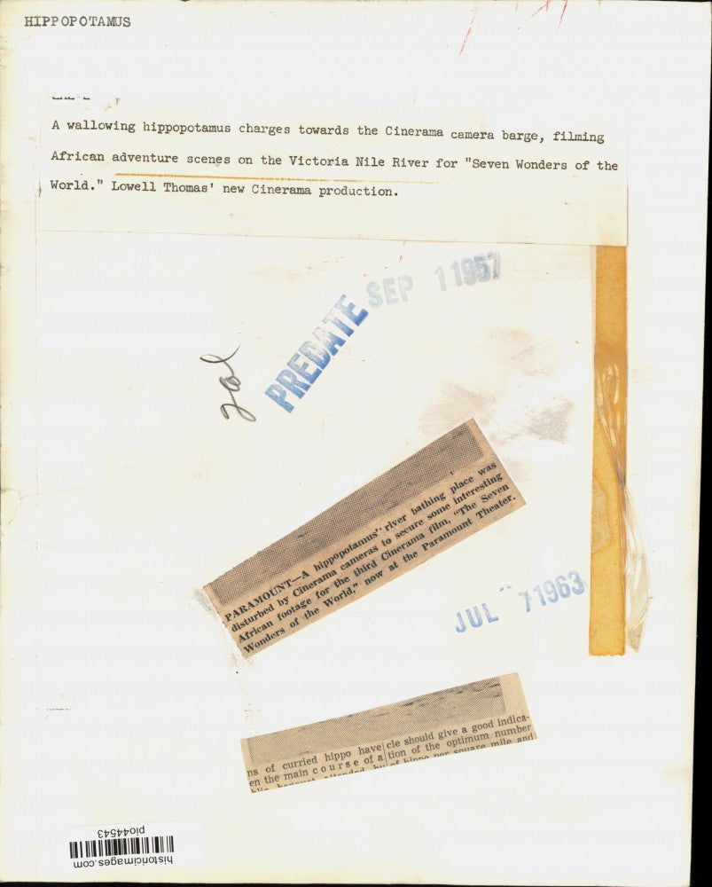 1957 Press Photo Hippopotamus on Victoria Nile River in Africa - pio44543