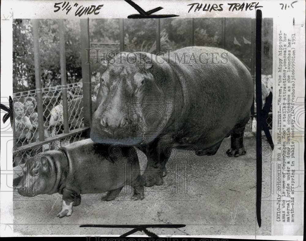 1951 Press Photo Hippopotamus "Maren" with her baby at Copenhagen Zoo in Denmark