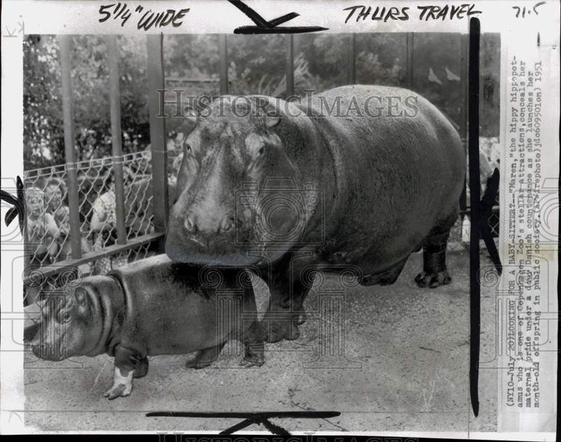 Load image into Gallery viewer, 1951 Press Photo Hippopotamus "Maren" with her baby at Copenhagen Zoo in Denmark
