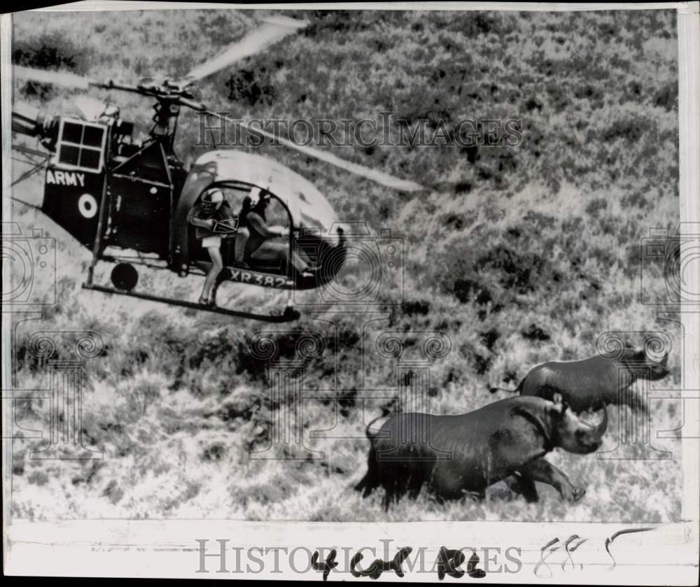 1964 Press Photo Game Warden Nick Carter uses helicopter to stalk rhinos, Kenya- Historic Images