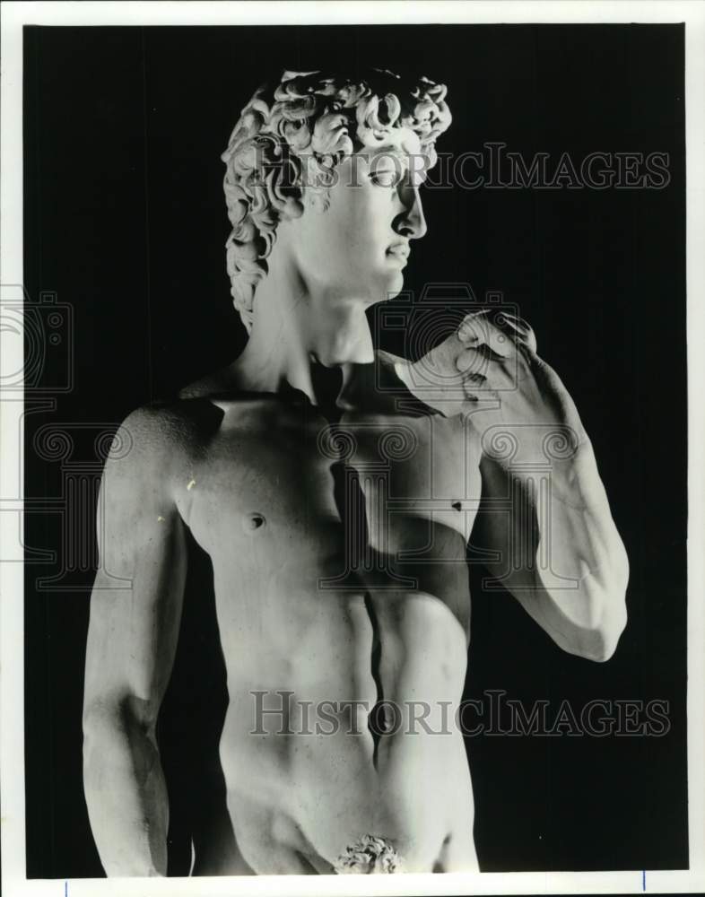 1988 Press Photo Michaelangelo's "David" Statue - pip04764
