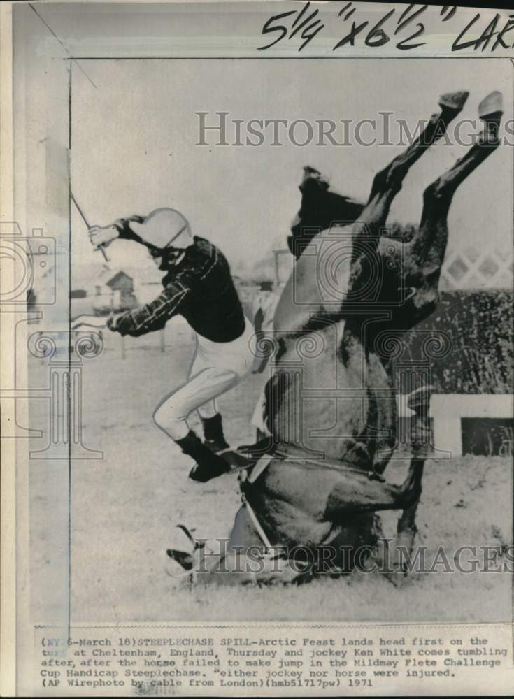 1971 Press Photo Steeplechase horse Arctic Feast and jockey Ken White tumble- Historic Images