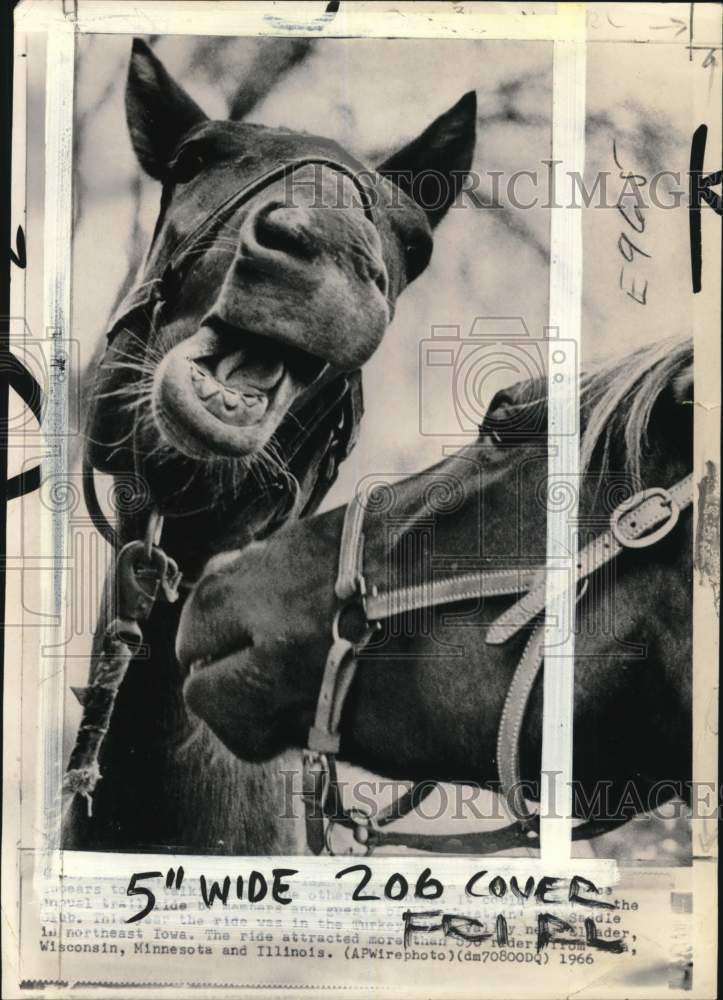 1966 Press Photo Whistlin&#39; Bit Saddle Club trail riding horses - pis00772- Historic Images