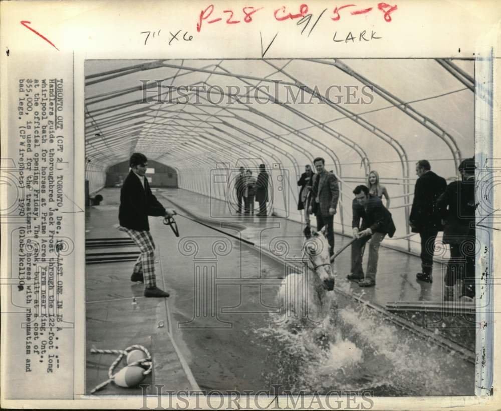 1970 Press Photo Handlers bathe horse Jack Frost at Prime Acres Farm, Ontario- Historic Images