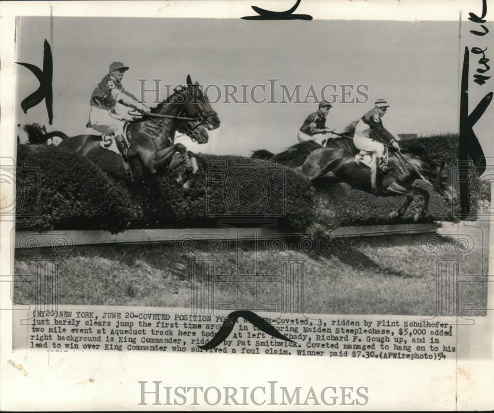 1954 Press Photo Jockeys on horses jump a hedge, Spring Maiden Steeplechase, NY- Historic Images