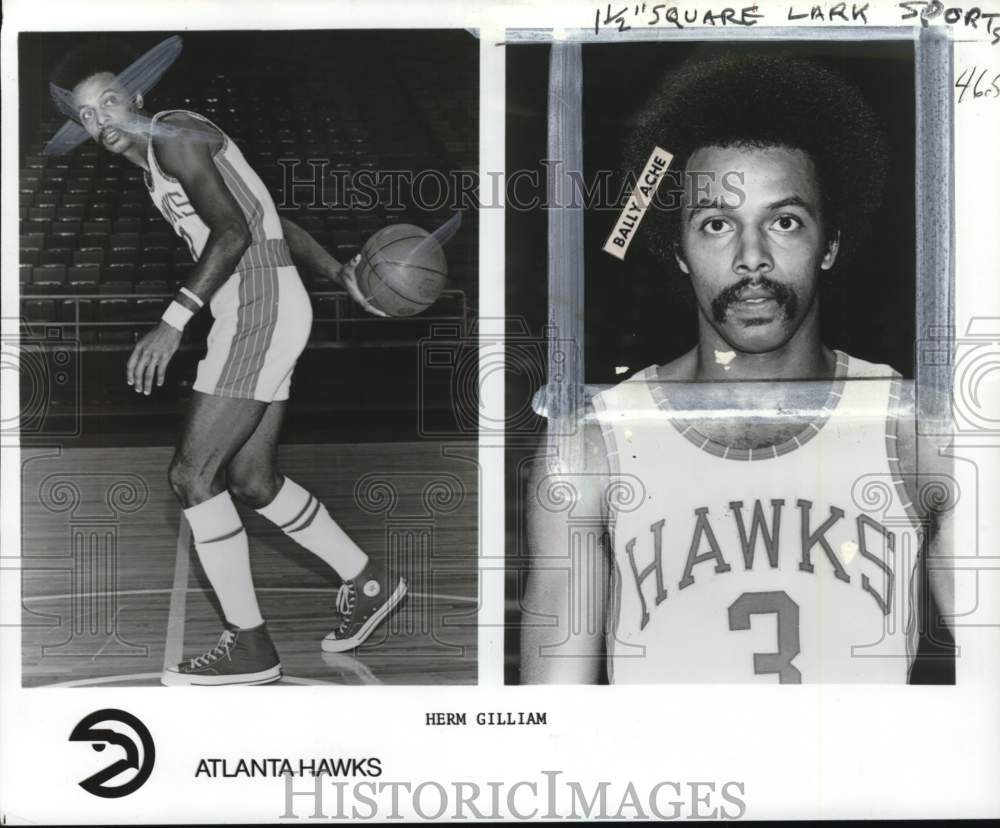 1973 Press Photo Atlanta Hawks basketball player Herm Gilliam - pis01343- Historic Images