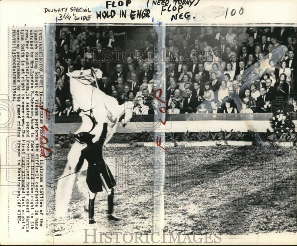 1964 Press Photo Lipizzan stallion performs courbette, Washington - pis01386- Historic Images
