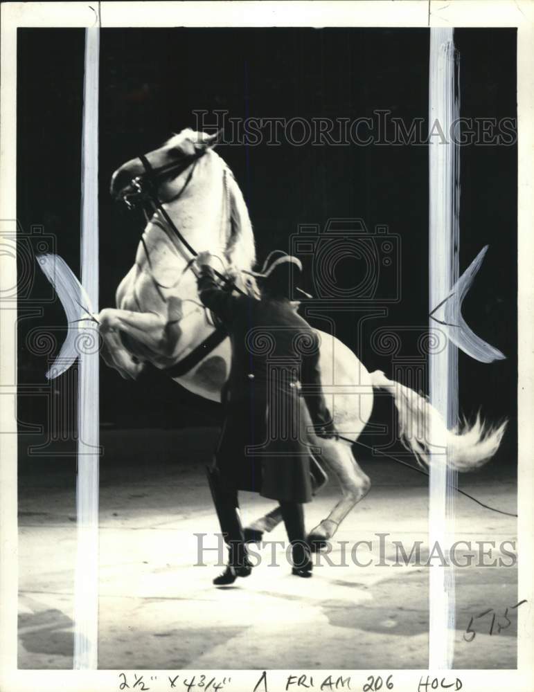 1970 Press Photo Scene from a Royal Lipizzan Stallion Show - pis02105- Historic Images