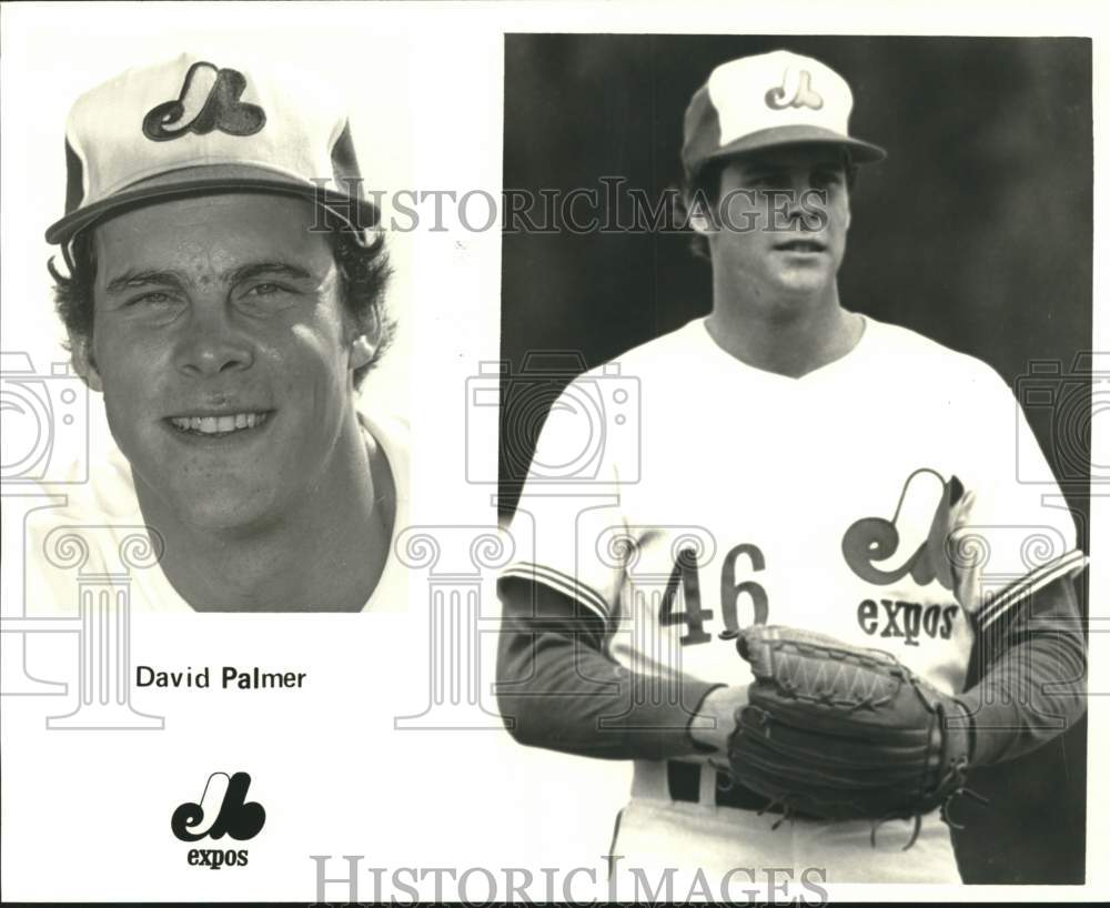 1979 Press Photo David Palmer, Baseball Player for Montreal Expos - pis02424- Historic Images